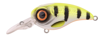 0001_Spro_Fat_Iris_50_CR_[Hot_Perch].jpg